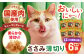 キャットフード おやつ ペットフード アメショ マンチカン スコティッシュ ロシアンブルー