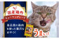 キャットフード おやつ ペットフード アメショ マンチカン スコティッシュ ロシアンブルー