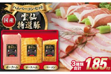 【国産豚】ハム・ベーコンセット 3種類 長崎県/長崎県農産品流通合同会社 [42AMAE011] ハム ベーコン 雲仙特選豚 国産