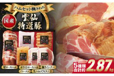 【国産豚】ハムセット極（きわみ）詰め合わせ 長崎県/長崎県農産品流通合同会社 [42AMAE012] 長崎県産 雲仙高原 ハム 詰め合わせ