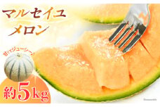 ＜6月発送＞長崎県産 マルセイユメロン 約5kg 長崎県/長崎県農産品流通合同会社 [42AMAE016]