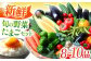 野菜 野菜セット やさい ヤサイ 新鮮 旬 たまご 卵 タマゴ 長崎