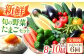 野菜 野菜セット やさい ヤサイ 新鮮 旬 たまご 卵 タマゴ 長崎