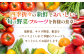 野菜 野菜セット やさい ヤサイ 新鮮 旬 果物 くだもの フルーツ 長崎