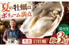＜5～8月お届け＞生食用 殻付き 雲仙夏牡蠣 岩ガキ 長崎産（3kg） 長崎県/株式会社天洋丸 [42ALAC003]