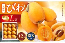 【先行予約】長崎県産ハウスびわ(早生) 500g L玉 贈答用  長崎県/森保農園 [42AACO001]