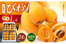 【先行予約】長崎県産ハウスびわ(早生)1kg L玉24玉 家庭用 長崎県/森保農園 [42AACO002] びわ ビワ 枇杷 1キロ 長崎 季節もの フルーツ 果物 先行予約 
