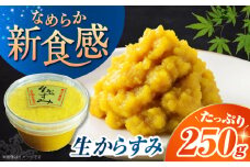 松庫・生からすみ 250g　業務用　長崎県/うらかわ酒店 [42AACH014]