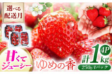 【2025年11月配送】 長崎県産 いちご ゆめの香 約1kg（250g×4パック）長崎県/わたる農園 [42AABB001] くだもの 果物 フルーツ いちご イチゴ 苺 ゆめの香 ゆめのか 1キロ 1kg 長崎 長崎県 お取り寄せ おすすめ 農家 産地 直送