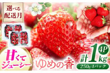 【2025年12月配送】 長崎県産 いちご ゆめの香 約1kg（250g×4パック）長崎県/わたる農園 [42AABB001] くだもの 果物 フルーツ いちご イチゴ 苺 ゆめの香 ゆめのか 1キロ 1kg 長崎 長崎県 お取り寄せ おすすめ 農家 産地 直送