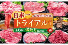 【全6回定期便】 長崎和牛 トライアルコース (梅) 長崎県/水田精肉店 [42ACAF021] 牛肉 牛 定期便 毎月 サーロイン ステーキ もも モモ すき焼き カルビ ロース バラ ミンチ