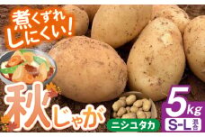 【先行予約】＜2025年12月〜1月発送＞長崎県産 秋作じゃがいも ニシユタカ 5kg 長崎県/オースタイルファーム株式会社 [42ALAD005] じゃがいも ポテト 長崎 雲仙 うんぜん 料理 煮込み カレー シチュー おでん じゃがちゃん 馬鈴薯 ばれいしょ ジャガイモ 野菜 ニシユタカ 秋 旬