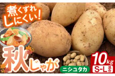 【先行予約】＜2025年12月〜1月発送＞長崎県産 秋作じゃがいも ニシユタカ 10kg 長崎県/オースタイルファーム株式会社 [42ALAD006] じゃがいも ポテト 長崎 雲仙 うんぜん 料理 煮込み カレー シチュー おでん じゃがちゃん 馬鈴薯 ばれいしょ ジャガイモ 野菜 ニシユタカ 秋 旬