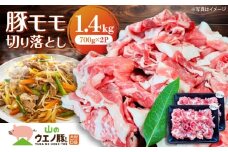 長崎県大村市産　「山のウエノ豚(とん)」　モモ 切り落とし 1.4kg(700g×2パック) 長崎県/合同会社肉のマルシン [42AAAO032]