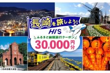 【長崎県】HISふるさと納税クーポン 30,000円分 長崎県/株式会社エイチ・アイ・エス [42AVAI004]