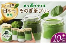 めっ茶イケてるそのぎ茶プリン10個セット　長崎県/有限会社シュシュ [42AEAA018]