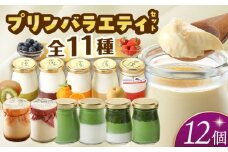 シュシュの種々様々な11種のプリン12個セット　長崎県/有限会社シュシュ [42AEAA019]