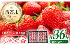 【贈答用/通常配送】いちご ゆめの香 36粒（18粒×2パック） 化粧箱入 長崎県/わたる農園 [42AABB004] イチゴ 苺 フルーツ 贈答 プレゼント ギフト お歳暮 御歳暮
