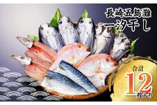 【7営業日以内発送】長崎五島灘一汐干し 合計12枚 干物 ひもの 魚介 海鮮 魚 おつまみ おかず 肴