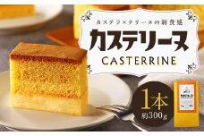 【14営業日以内発送】長崎カステリーヌ 1本 ( 約 300g ) ／ スイーツ カステラ テリーヌ お菓子 デザート 新感覚 新食感 タナカヤ  