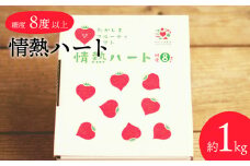 【数量限定 先行予約】たかしまフルーティトマト 「情熱ハート」 1kg箱×1 【2025年3月下旬より順次発送予定】