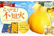 先行予約 不知火 約3kgセット ／ 季節限定 柑橘 かんきつ しらぬい フルーツ 果物 長崎県 長崎市 野中果樹園 オンライン決済限定 アフター保証 【2026年3月上旬-下旬迄発送予定】