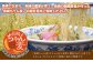 【全3回定期便】《具材付》長崎冷凍ちゃんぽん・皿うどん 総計15食 (5食×3回) 簡単調理 冷凍