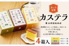 【7営業日以内発送】カット包装 カステラ 4箱入 ( プレーン 抹茶 チョコレート ) 文明堂総本店 カステラ デザート おやつ