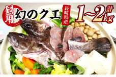 長崎の森で育てた『幻のクエ』 鍋用 5～6人前（1kg～2kg前後） くえ 海鮮 魚介類 魚 お魚