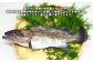 長崎の森で育てた『幻のクエ』 鍋用 5～6人前（1kg～2kg前後） くえ 海鮮 魚介類 魚 お魚