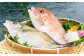 長﨑・戸石産 ゆうこうシマアジと真鯛の漬け丼セット