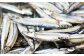 【年4回定期便 (2月・5月・8月・11月配送) 】一夜干しセット 干物 ひもの 魚介 海鮮 海の幸 おつまみ 肴 魚