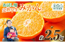 先行予約 ハウス 完熟 早生みかん お試し 約2.5kg箱 フルーツ 果物 くだもの ミカン 【2025年1月上旬～1月下旬に順次発送予定】