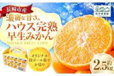 先行予約 ハウス完熟早生みかん お試し 約2.5kg箱 | 期間限定 フルーツ 果物 くだもの 柑橘 ミカン 野中果樹園 オンライン決済限定 長崎県 長崎市 アフター保証 【2026年1月上旬～下旬迄発送予定】