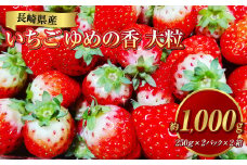 長崎県産いちご ゆめの香 大粒 約1kg（250g×2パック入×2箱）いちご 苺 イチゴ 冷蔵 果物 フルーツ 果実 【2024年11月下旬-2025年5月下旬発送予定】