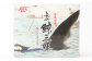 塩くじら (切畝) 80g×10個セット 刺身 珍味 くじら肉 塩 皮 うねす くじら汁 おつまみ カルパッチョ