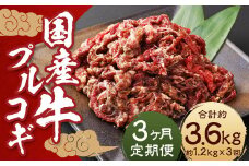 【全3回定期便】国産牛 プルコギ 約1.2kg (300g×4) ／ 肉 お肉 牛肉 牛 簡単調理 焼き肉 焼肉 韓国料理 グルメ 冷凍 惣菜 炒めるだけ 肉のマルシン 長崎県 長崎市