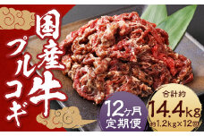 【全12回定期便】国産牛 プルコギ 約1.2kg (300g×4) ／ 肉 お肉 牛肉 牛 簡単調理 焼き肉 焼肉 韓国料理 グルメ 冷凍 惣菜 炒めるだけ 肉のマルシン 長崎県 長崎市