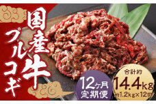 【全12回定期便】国産牛 プルコギ 約1.2kg (300g×4) ／ 肉 お肉 牛肉 牛 簡単調理 焼き肉 焼肉 韓国料理 グルメ 冷凍 惣菜 炒めるだけ 肉のマルシン 長崎県 長崎市