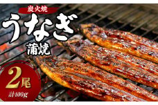 炭火焼うなぎの蒲焼 200g×2尾 うなぎ ウナギ 鰻 丑の日 蒲焼 炭火焼 タレ付 惣菜 お祝い 簡単 国産 長崎
