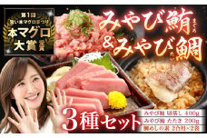 みやび鮪切り落とし・粗挽きネギトロ 計600g ＋ 鯛めしの素 2袋 魚 マグロ まぐろ 切り落とし ねぎとろ 鯛めし 刺身 カルパッチョ おつまみ おかず 惣菜 長崎県