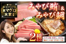 まぐろ みやび鮪 切り落とし 600g ＋ 鯛めしの素 2袋 まぐろ マグロ 鮪 切落し 坂田水産 長崎