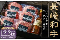 【全12回定期便】【年間1万個売れる！】A5ランク 長崎和牛 ハンバーグセット 約170g×6個 和牛 国産牛 牛肉 肉 お肉 にく ハンバーグ