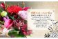 【全3回定期便】 おまかせフラワーアレンジメント 【S】 長崎県産 お花 花 ギフト