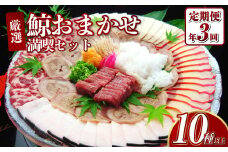 【年3回定期便(4月・8月・12月配送)】鯨おまかせ満喫セット(10種類以上) 鯨 クジラ くじら 詰め合わせ 長崎