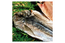 一夜干しざんまいセット ／ 干物 ひもの 魚介 海鮮 海産物 真空パック おかず おつまみ 長崎県 長崎市