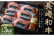 【全3回定期便】【年間1万個売れる！】A4～A5ランク 長崎和牛 ハンバーグセット 約170g×6個 和牛 牛肉 肉 牛 国産牛 国産 長崎和牛 牛肉100% はんばーぐ 冷凍 長崎