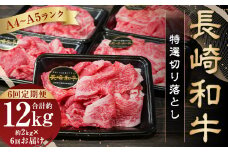 【全6回定期便】【A4～A5ランク】長崎和牛特選切り落とし 約2kg (200g×10パック) 長崎 牛肉 肉 牛 和牛 国産牛 国産 長崎和牛 すき焼き 焼肉 バーベキュー 小分け 冷凍