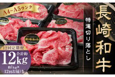 【全12回定期便】【A4～A5ランク】長崎和牛 特選 切り落とし 約1kg (200g×5パック) お肉 牛肉 肉 牛 和牛 国産牛 国産