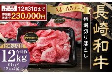 【期間限定！～12月31日まで寄附額改定】全12回定期便 A4～A5ランク 長崎和牛 特選 切り落とし 約1kg (200g×5パック) お肉 牛肉 肉 牛 和牛 国産牛 国産